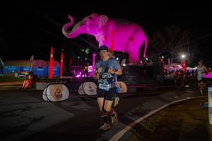 BIB: 
                            <button type="button" onclick="openModal(26552094)" class="btn btn-primary btn-sm float-right btn-popup" data-toggle="modal" data-target=".modal-high-quality">
                        <i class="fas fa-shopping-cart"></i> Add to Cart
                    </button>
                                            <button type="button" onclick="isThisMe(26552094, true)" class="btn btn-success btn-sm float-right btn-popup btn-isme hidden" data-toggle="tooltip" data-placement="bottom" title="นี่คือรูปของคุณใช่ไหม คลิกที่นี่เพื่อเอาเข้าอัลบั้ม">
                        <i class="fas fa-plus"></i> Add to album
                    </button>
                    <button type="button" onclick="isThisMe(26552094, false)" class="btn btn-warning btn-sm float-right btn-popup btn-isnotme hidden">
                        <i class="fas fa-ban"></i> Remove from album
                    </button>